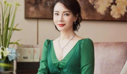 陈数演的电视剧